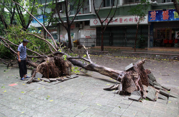 Typhoon Usagi kills 3 in China