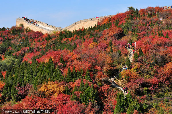 Peak season for fall foliage in Beijing