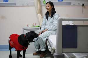 Guide dogs trained in NE China