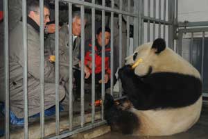 Puppies with identity crisis born in E China