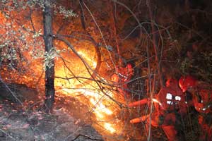 Forest fire rages in Hong Kong