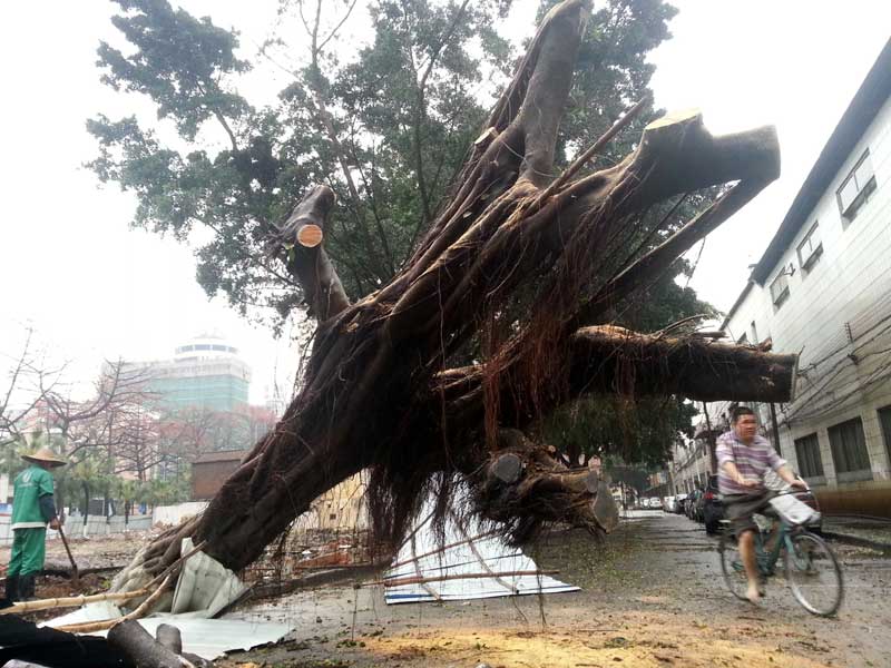 Rainstorm pounds S China