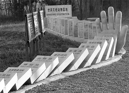 Animals honored in simulated cemetery