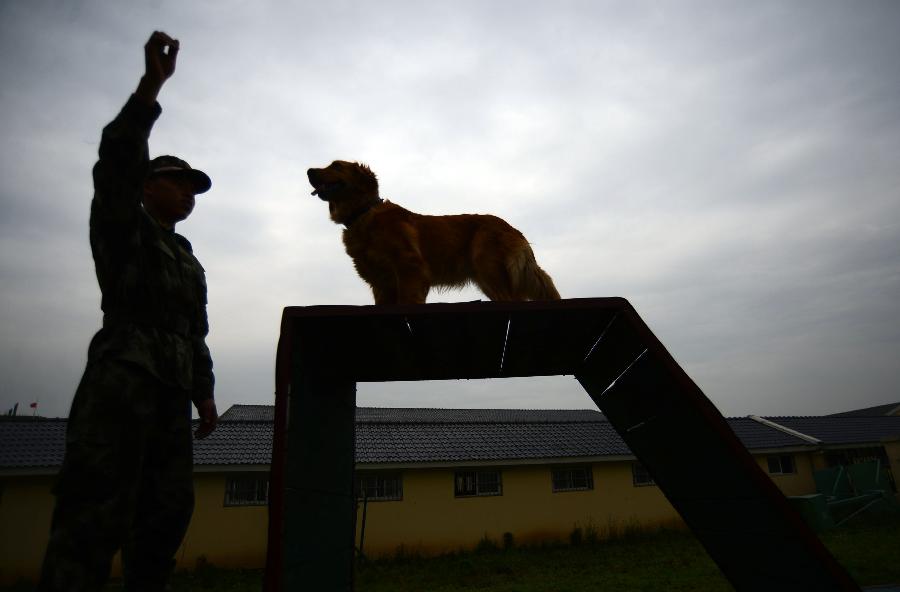 Police dog training base in Nanjing