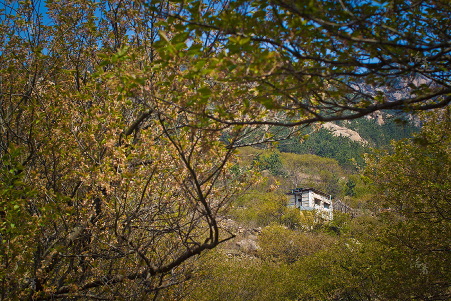 Couple leave the city for 'Self-sufficiency Lab'in mountains