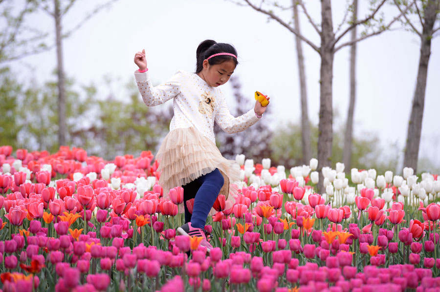 Tulip named by Chinese first lady goes on show