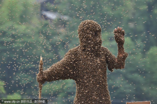 Jiangxi man abuzz over new Guinness bee record