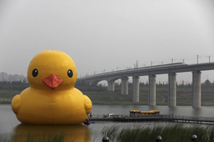 Giant Rubber Duck waits in wings in Hangzhou