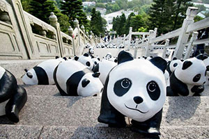 RIP <EM>Xinxin</EM>: Panda, 6, mourned in Macao