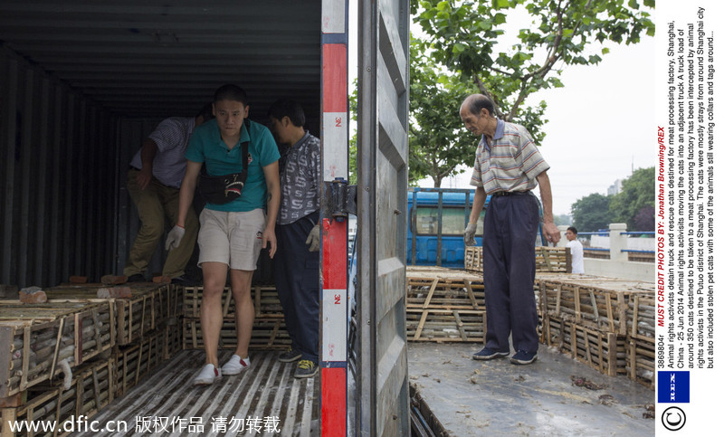 Animal rights activists intercept truck carrying 350 cats