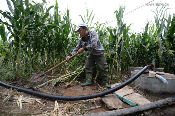 Liaoning suffers the most severe drought since 1951