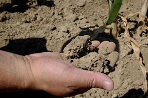 Liaoning suffers the most severe drought since 1951