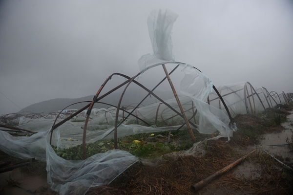 Typhoon Fung-Wong plays havoc in East China