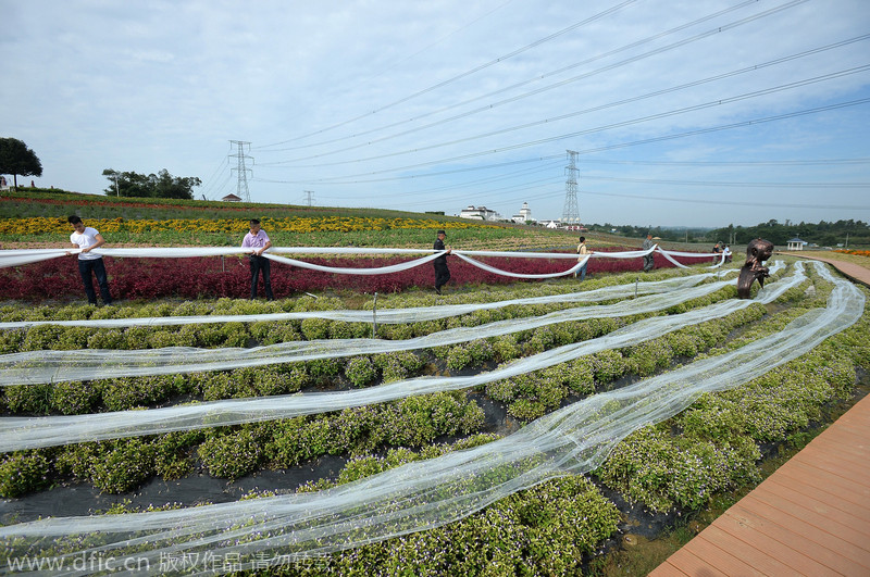 4,100m wedding dress to apply for Guinness book of records