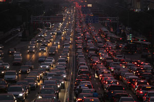 Traffic jam turns tunnel into a dog-walking lot