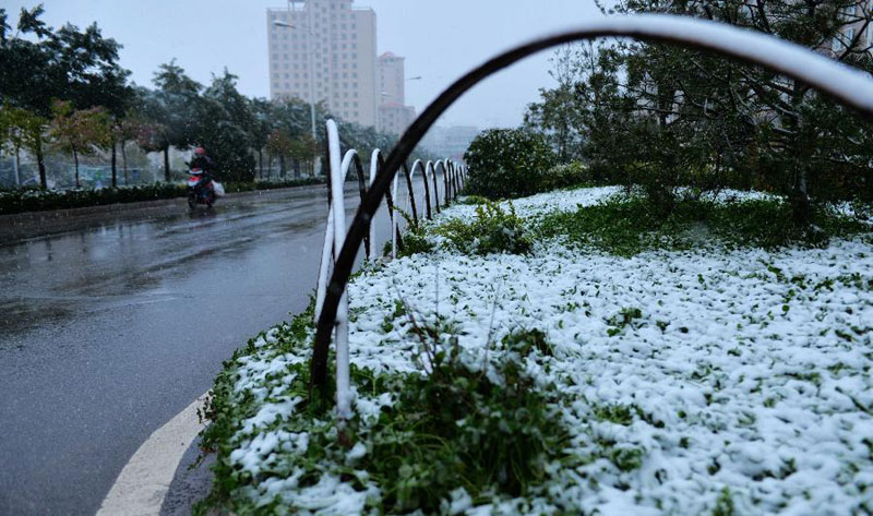 Cold wave brings first snowfall this autumn to Gansu