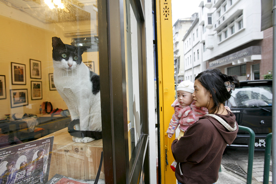 100 photographers' focus on Macao