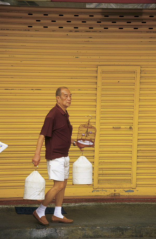 100 photographers' focus on Macao