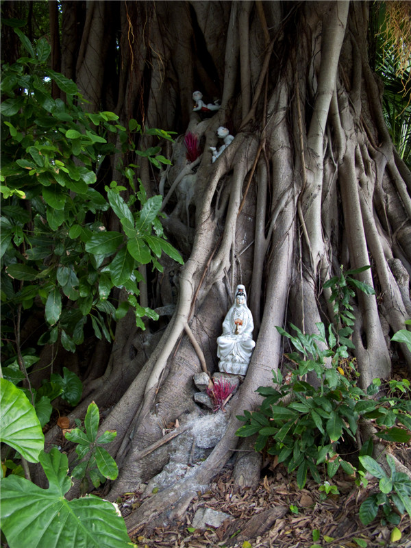 100 photographers' focus on Macao