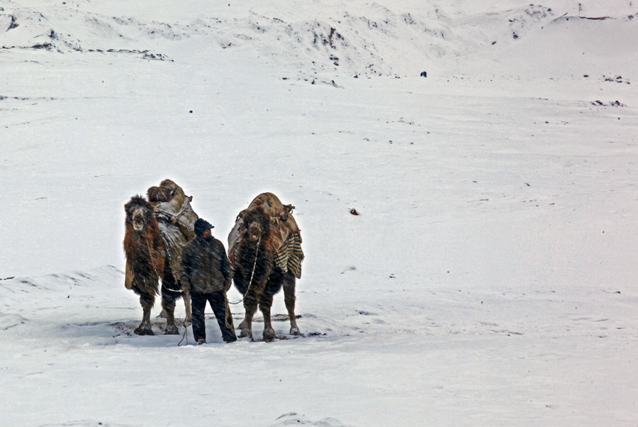 Ethnic Tajik life through the lens of a solider