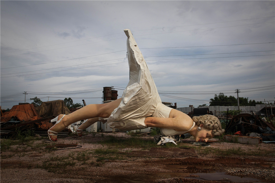 China Daily Pictures of the Year 2014