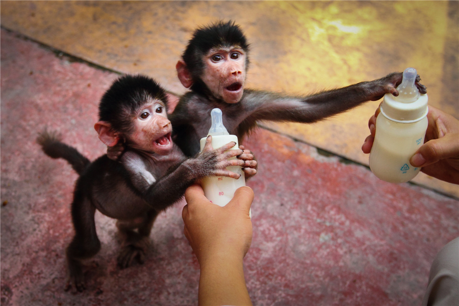 China Daily Pictures of the Year 2014