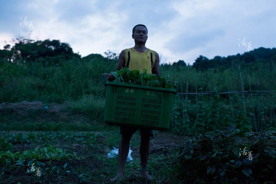 Young men farm for the future