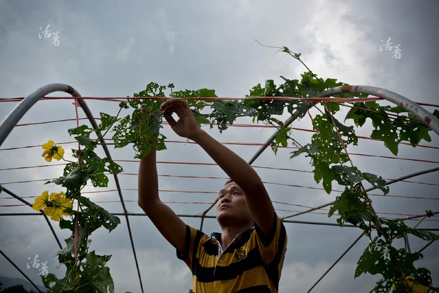 Young men farm for the future