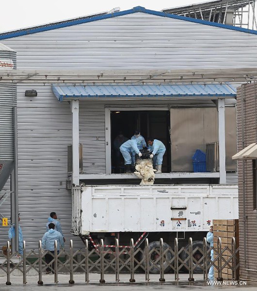 Taiwan culls 120,000 chickens after bird flu found in chicken farm