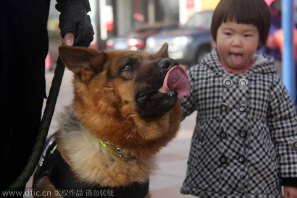 Police reveal role dogs play in fighting crime