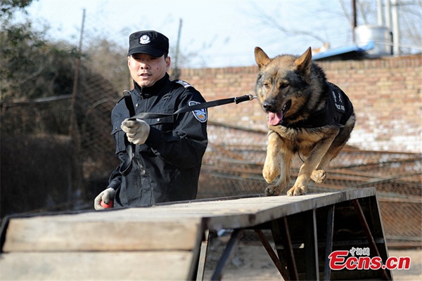 Police canines prep for travel season