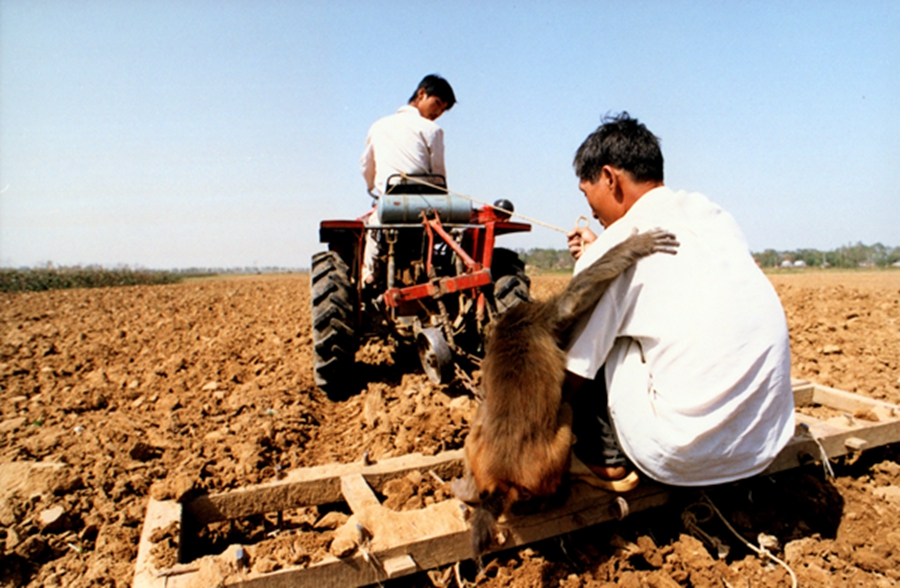 Joy and sorrow of monkey trainers