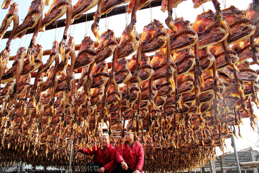 The ancient practice of preserving and drying food