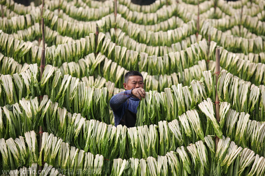 The ancient practice of preserving and drying food