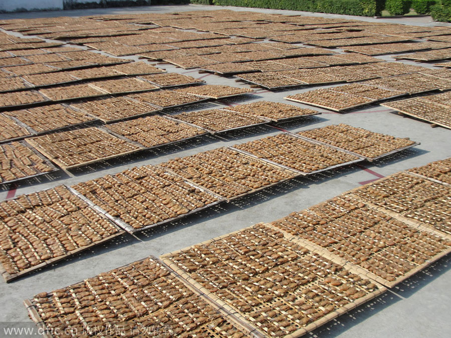 The ancient practice of preserving and drying food