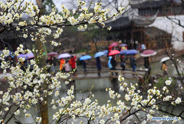 Beautiful sceneries of early spring flowers around China