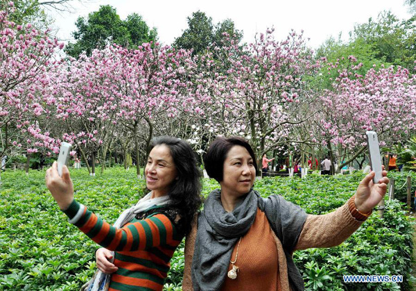 Beautiful sceneries of early spring flowers around China