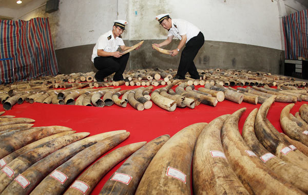 China imposes ivory import ban to evaluate its effects over 1 year