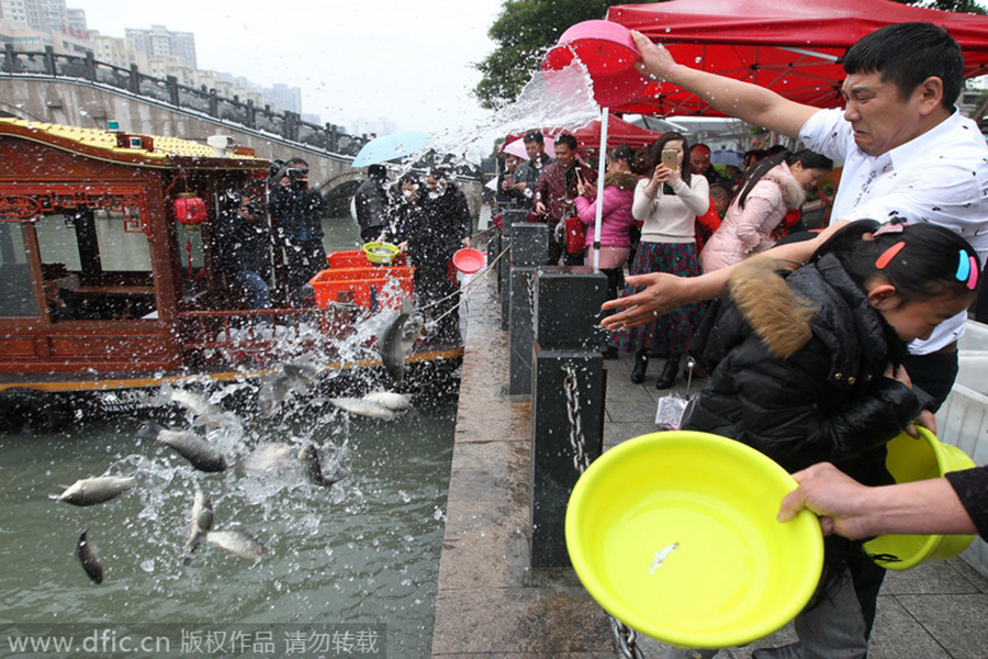 Fish freed for good luck in Wenzhou