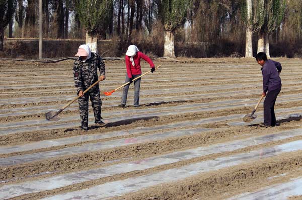 Xinjiang: Productivity versus pollution