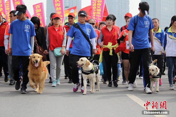 Guide dogs run marathon