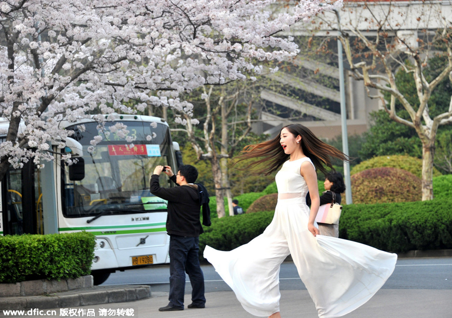 Blossoms add tenderness to bus stop