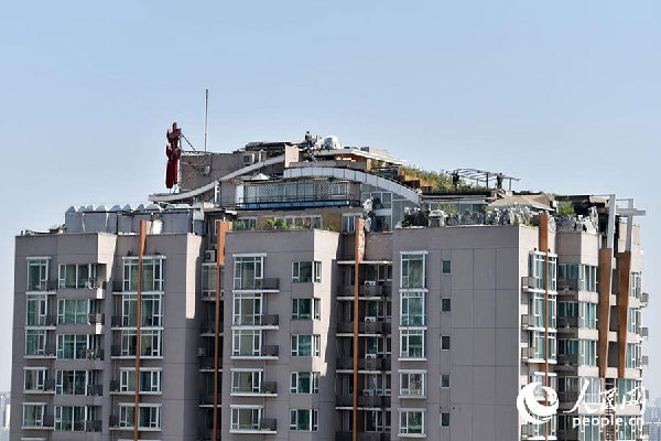 Plants seen on apartment roof where illegal villa once stood