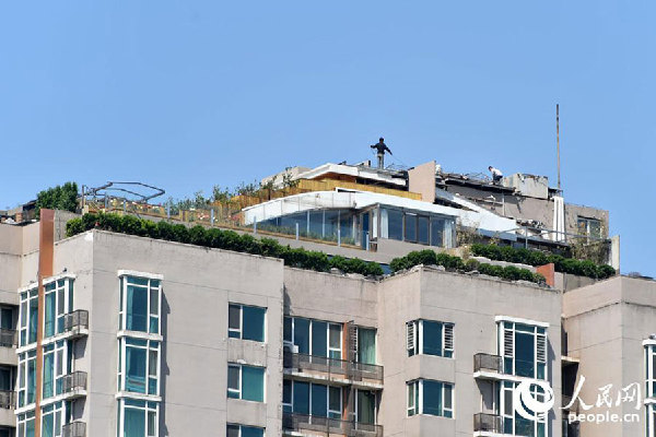 Plants seen on apartment roof where illegal villa once stood