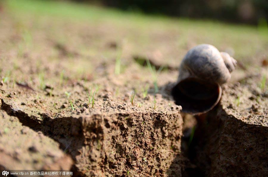 Severe drought hits Southwest China