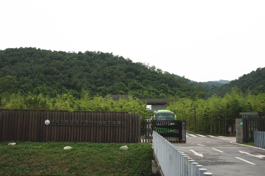 World's first panda hospital in Dujiangyan city