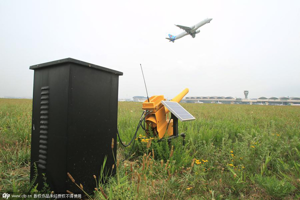 Tricks airports use to scare away birds