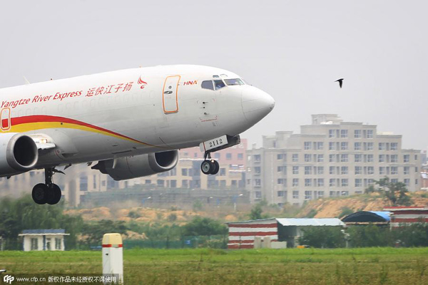 Tricks airports use to scare away birds