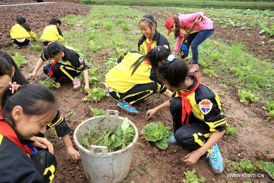 Students join outdoor courses in countryside