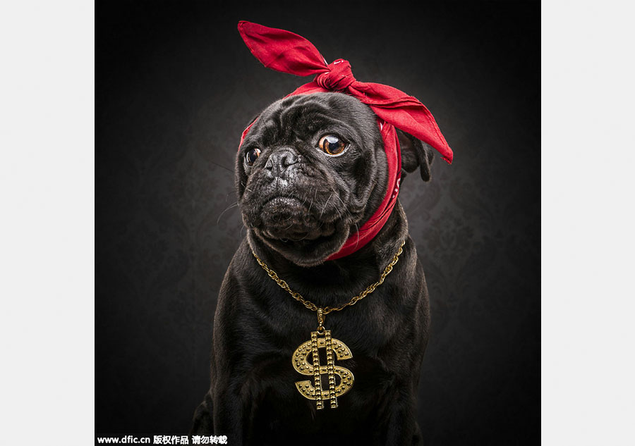 When pups catch up to hip-hop style